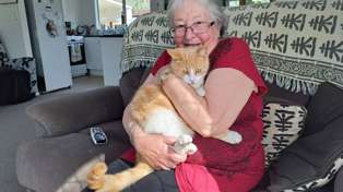 Barbara Nicholas, pictured with Murphy, is helping with the new Companion Cats programme in the Far North. Photo / Jenny Ling