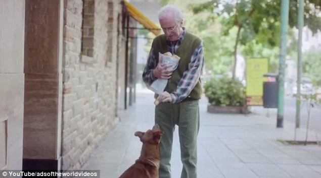 Loyal Dog Sends A Strong Message