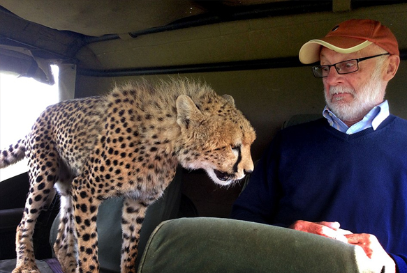 The Cat That Got Too Close For Comfort