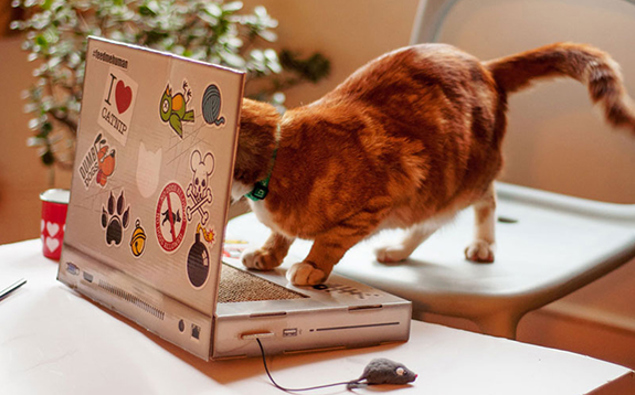 Laptop Scratching Post Lets Your Cat Work On A Computer Without ...