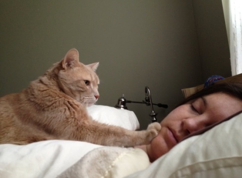 Cats Make The Best Alarm Clocks