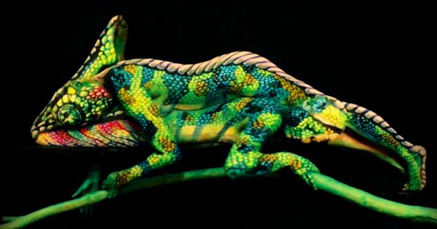 Incredible Chameleon