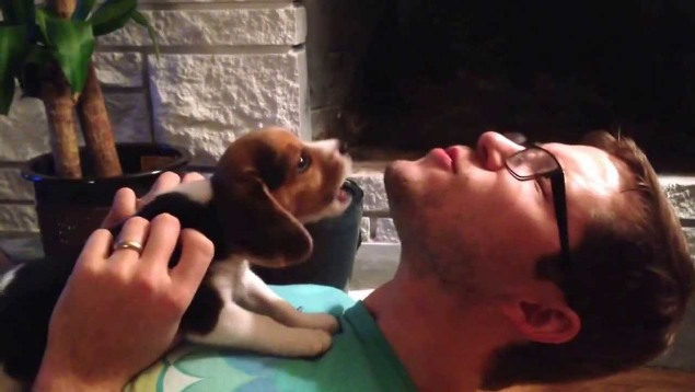 Puppies Learning To Howl