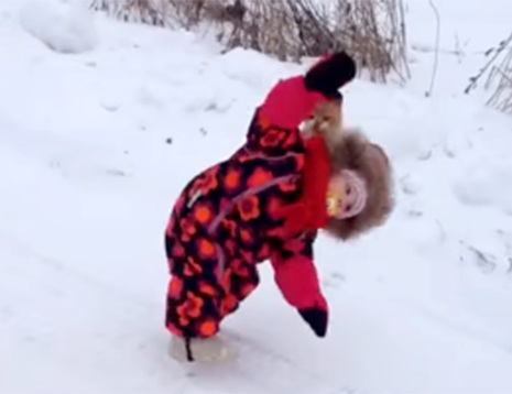 When Good Kitties Attack