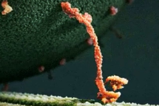 A Picture of Happiness!