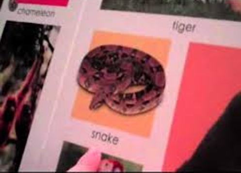 Classic Clip: Kid Fooling Parents He Can Spell