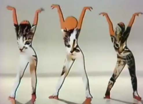 Fantastic Cat Dance