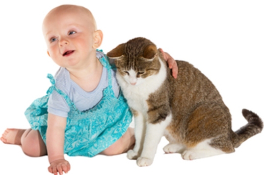 When A Boy Loves His Cat - And It's Reciprocated