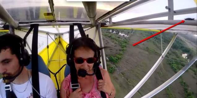 Microlight stowaway!