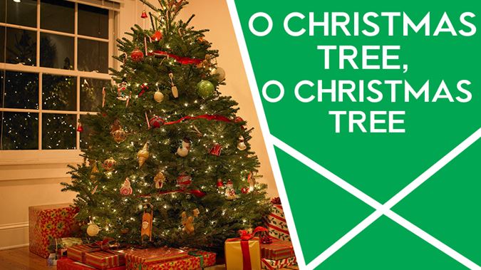 O Christmas Tree, O Christmas Tree photos
