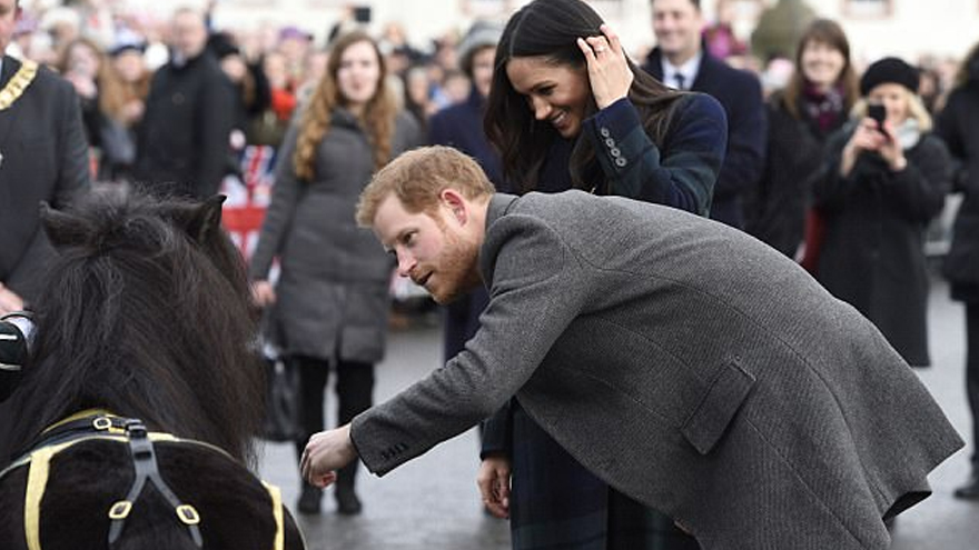 Harry's hilarious pony run in