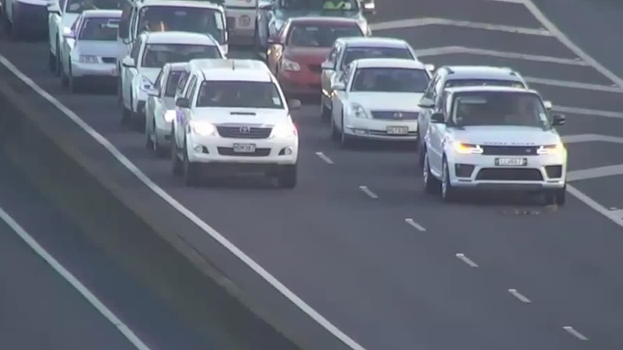 Why did the duck cross the motorway? 