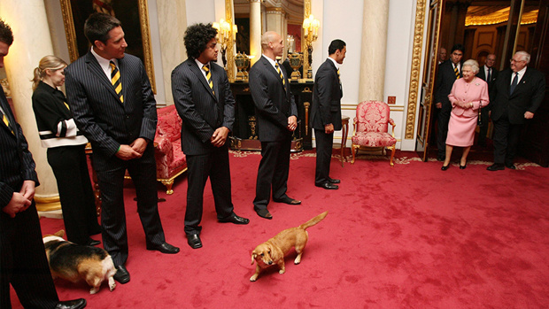 Getty Images - The Queen's Corgi's pictured with the New Zealand Rugby League team
