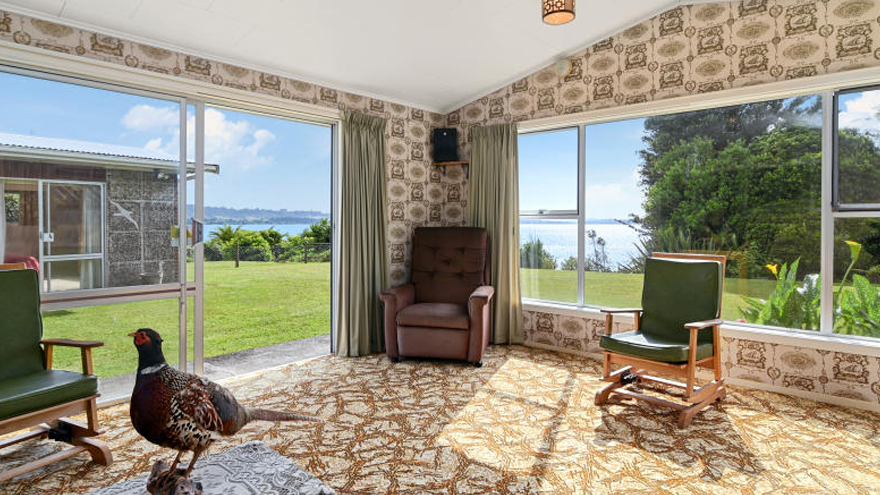 Is this New Zealand's funkiest house?