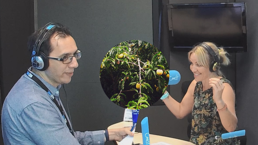 Mel's peachy predicament 