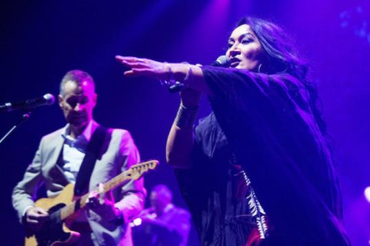 Malcolm Black, Netherworld Dancing Toys frontman and music executive, has died aged 58