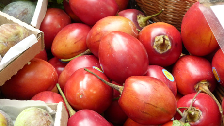 Tamarillo Association recipes