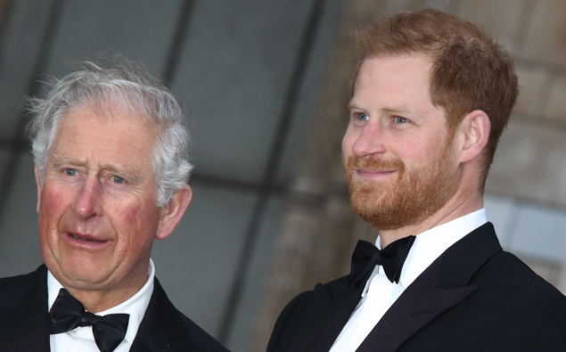 Royal fans are gushing over Prince Harry's resemblance to Prince