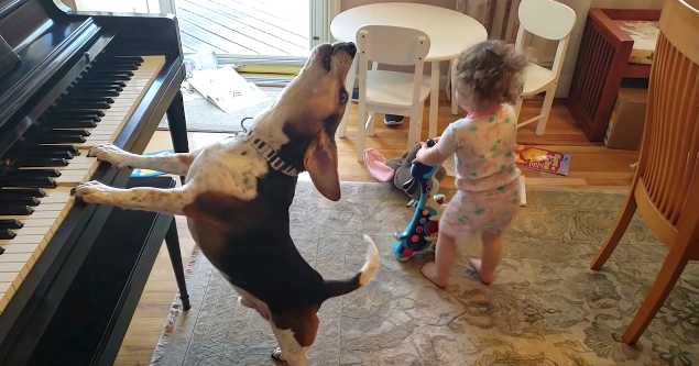 See adorable Buddy Mercury party with his human sister