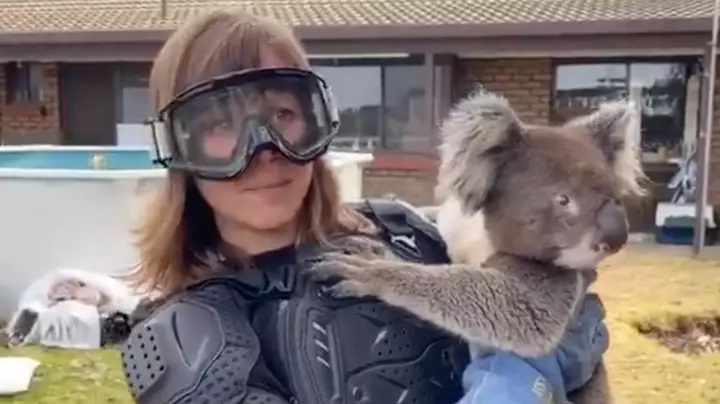 Australians play hilarious "drop bear" prank on journalist covering Kangaroo Island bushfires