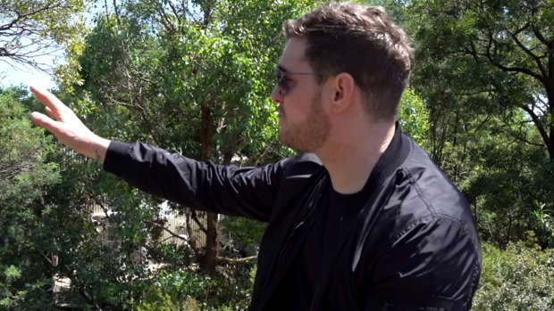 Chancellor venues Michael Bublé sings for gorillas who love his Christmas album at