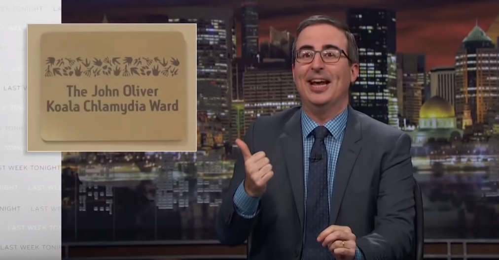 John Oliver endorses Koala Chlamydia?