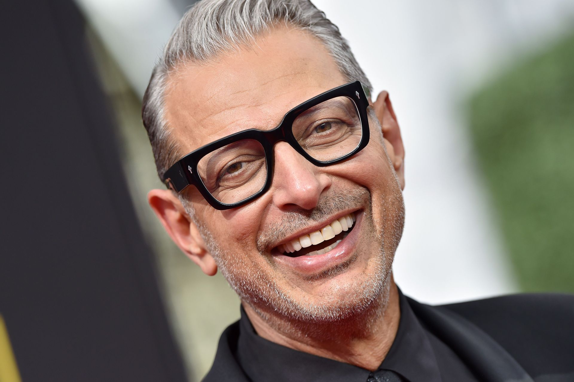 WATCH: Jeff Goldblum reads 'Horton Hears a who' and it is adorable!