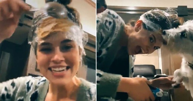 Woman shares genius hack of cutting her dog’s nails by putting peanut butter on her head