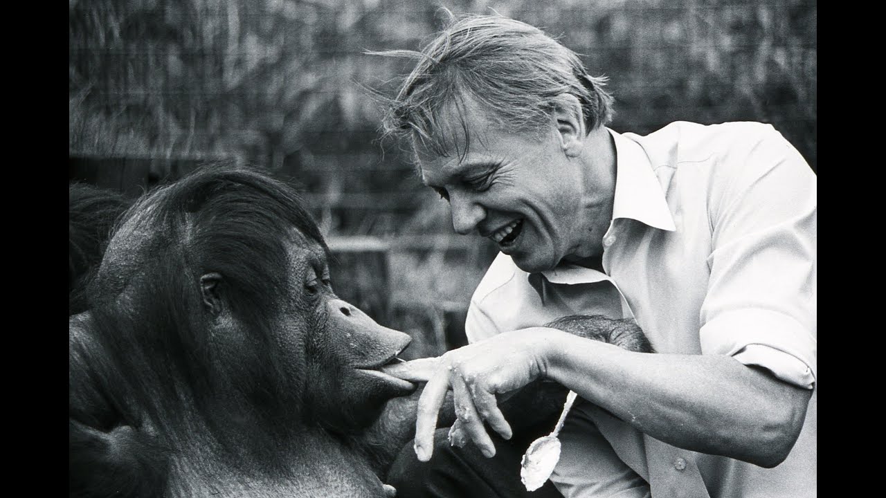 Happy 94th Birthday David Attenborough! Watch: Some of His Greatest Television Moments