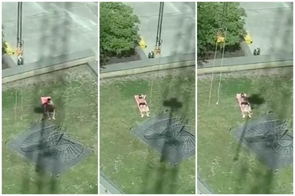 WATCH: Crane Operator Ruins Strangers Sun Bathing Attempt in a Hilarious Video!