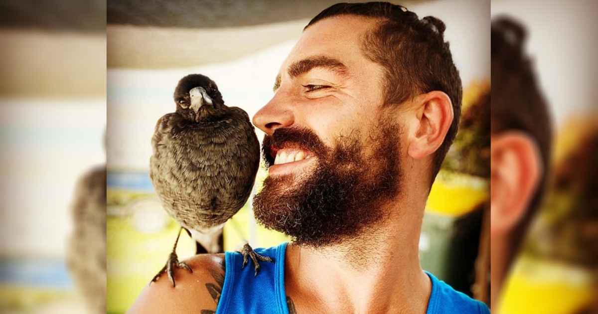 Man Befriends stray Magpie and now the Two are Inseperable