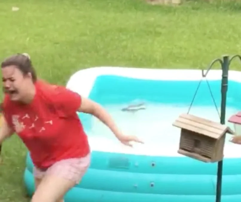 Girl’s attempt to rescue squirrel from pool hilariously backfires