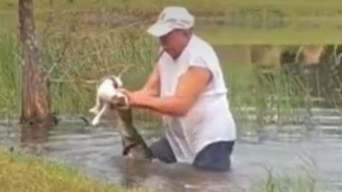 WATCH: Man dramatically rescues his puppy from the jaws of an alligator