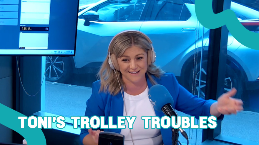 The reason Toni doesn't grocery shop in store