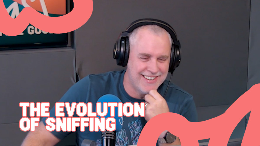 Imagine if we greeted each other like dogs