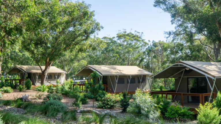 Overnight Glamping experience at a Koala Sanctuary