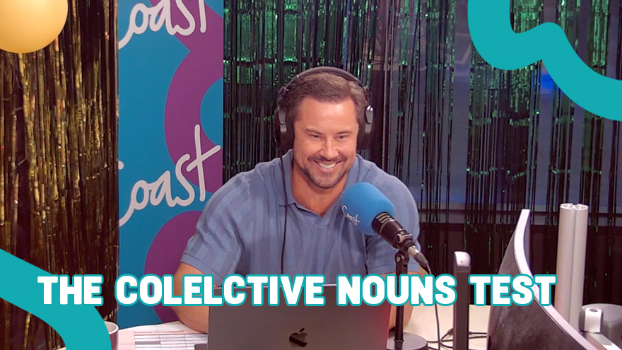 Toni and Jase put to the test on collective nouns