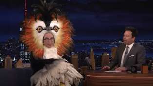 John Oliver appears on The Tonight Show Starring Jimmy Fallon dressed as a pūteketeke for the New Zealand's Bird of the Century contest. Photo / via video