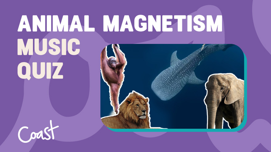 Animal Magnetism Music Quiz