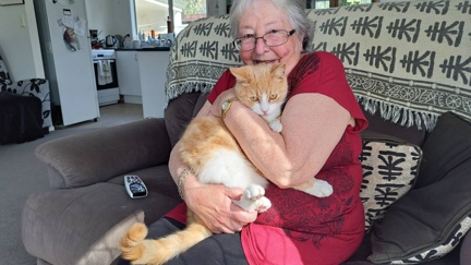 Far North animal rescue charity launches new cat companion programme pairing adult cats with elderly