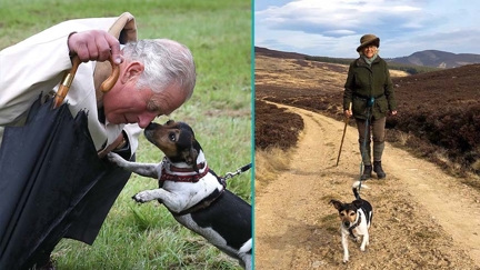 Queen Camilla's rescue dog Beth has passed away