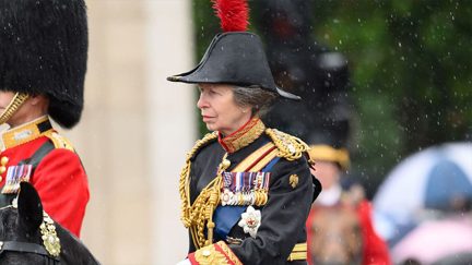 Princess Anne in hospital after being injured by a horse