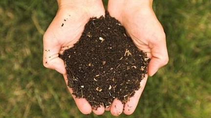 How To Compost
