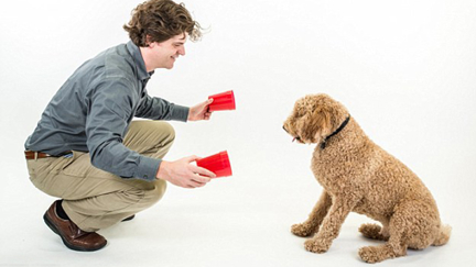 Is Your Dog A Genius? Try The IQ Test For Canines