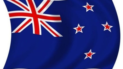 10,000 New Flag Ideas
