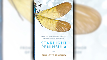 Stephanie Jones: Book Review - Starlight Peninsula by Charlotte Grimshaw