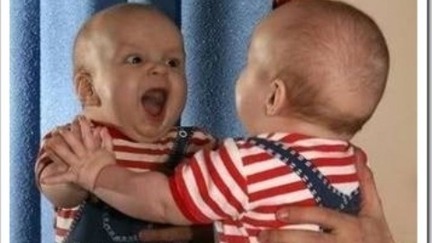 Babies Discovering Mirrors For The First Time