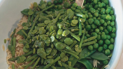 Pasta Salad Primavera