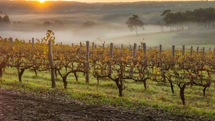 Julie Harrison - Soil