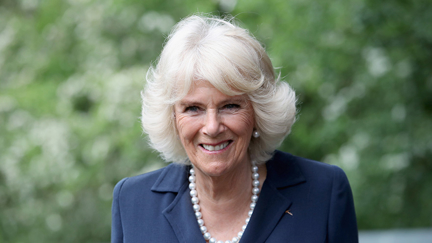 Queen Camilla wants 'pop-up shops' in schools to help young people experiencing domestic abuse